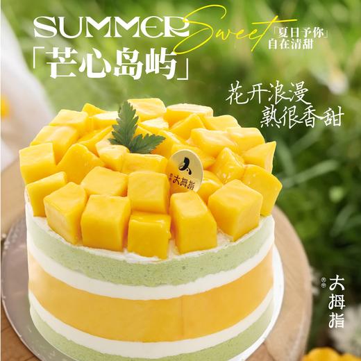 芒心岛屿 商品图0