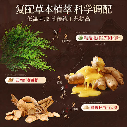 【2瓶】侧柏叶植物洗发水、不含硅油、多种植物配方、人参姜根何首乌植物护发、500ml/瓶-54 商品图1