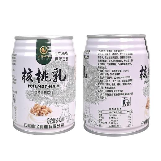 云南宣威市绿色食品核桃乳植物蛋白饮料240ml×12罐/件 商品图0