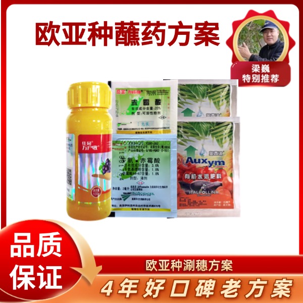 欧亚种涮穗方案（单独膨大）