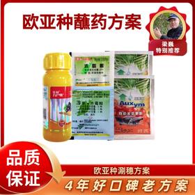 欧亚种涮穗方案（单独膨大）