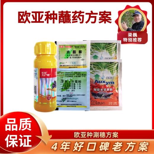 欧亚种涮穗方案（单独膨大） 商品图0