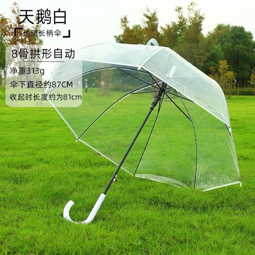 【自动透明雨伞】直杆透明伞，透明环保伞布，视野更宽阔，8骨，16骨稳定伞架结构结实，防水抗风，穹顶鸟笼结构，360°遮挡遇水。半自动开关，轻松开伞，避免撑伞时手臂被淋湿！ 商品图8
