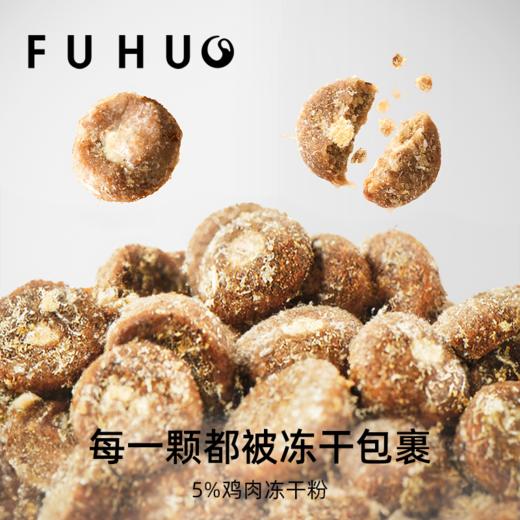 【限时8折】俘获C36猫粮鲜肉配方试吃装幼成猫粮无谷夹心宠物全价全期猫粮 商品图2