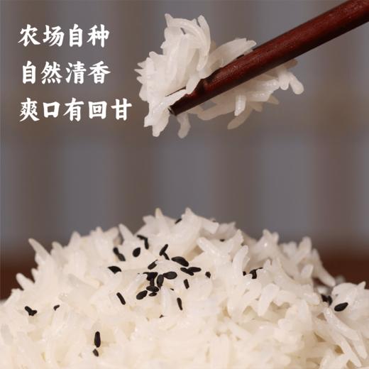 【2025年秋收】谦益香畴玉针香5斤 谦益虚心谷农场 山地冷泉灌溉 自然农耕 米粒似针 晶莹如玉 米香浓厚“超泰米” 商品图2