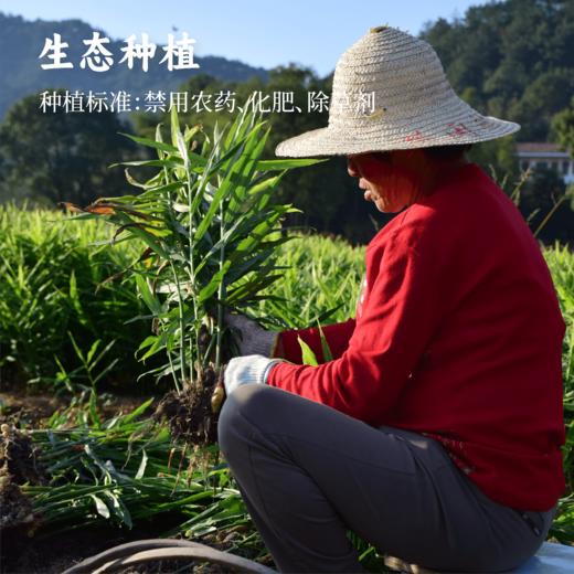 谦益生态姜汁红糖188g  古法工艺熬制 拒绝添加 小包装 生理期 宫寒 痛经调理 火姜熬制 暖而不辣 商品图6