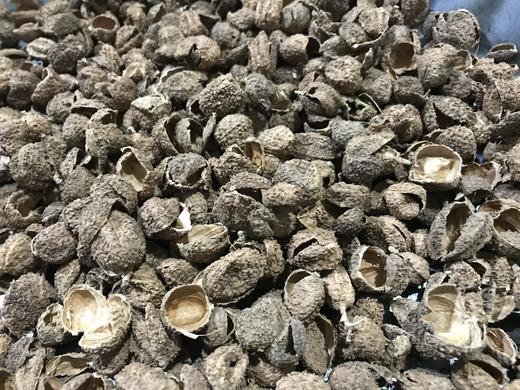 阳春砂仁壳  国产阳春砂壳 砂壳500克 1kg 商品图1