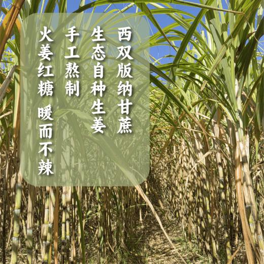 谦益生态姜汁红糖188g  古法工艺熬制 拒绝添加 小包装 生理期 宫寒 痛经调理 火姜熬制 暖而不辣 商品图4