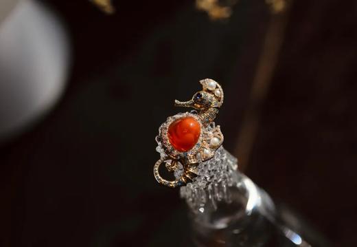 奔放而自由的海马 | 海马耳环、胸针 商品图2