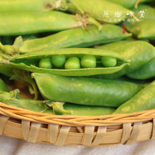 云南有机带皮豌豆（基地直发-顺丰包邮）| 3斤/件，来自云南昆明，生产者：李建平【合作生产，公平贸易】 商品图8