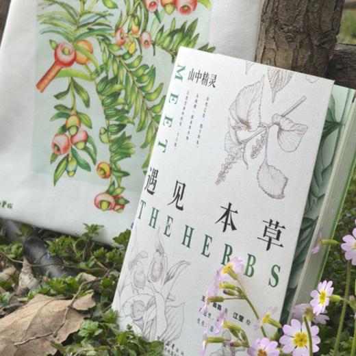 遇见本草 商品图4