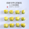 陈一凡胎菊花茶 头茬新鲜无熏无添加泡水喝花草茶罐装60g /水饮冲调 /代用茶/花草茶/养生茶 /花草/草木茶 商品缩略图3