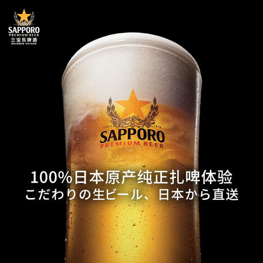 三宝乐啤酒500ml/011944 入口麦香清冽回甘 商品图2
