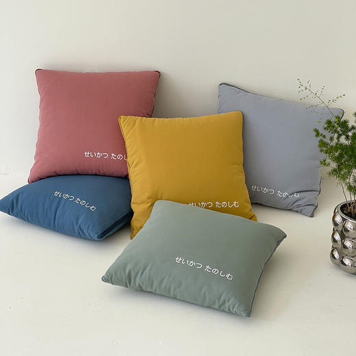 GRACE SPACE格调空间 多功能抱枕被 多场景用枕头被 商品图1