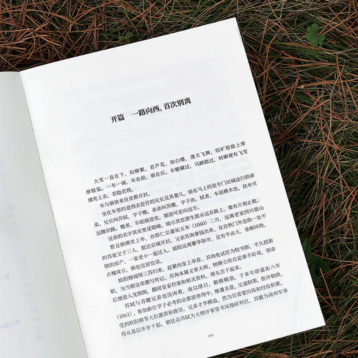 《苏东坡传：人生就是哈哈哈哈哈》 商品图8