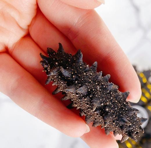 千叶群岛淡干海参200g 商品图3