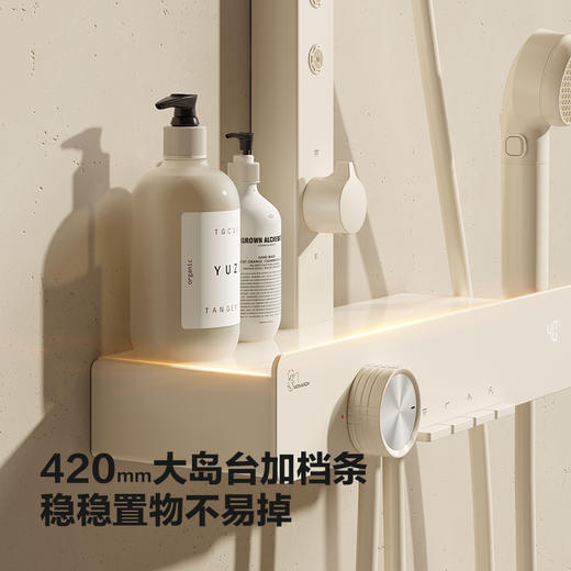 帝王洁具淋浴花洒套装大置物台增压沐浴洗澡淋浴器TC24034 商品图1