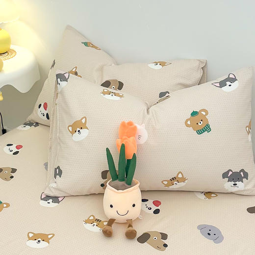 自然醒40支全棉小清新纯棉枕套一对装48cmx74cm儿童枕头套单个枕芯内胆套女JY 商品图9