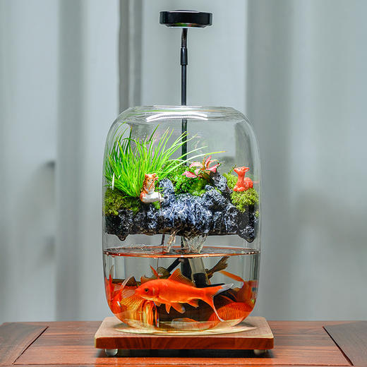 悬浮景观生态瓶，免打理易养活，植物小白也能轻松上手，纯手工造景，赋予极致的高级感，悬浮景观生态瓶 商品图1
