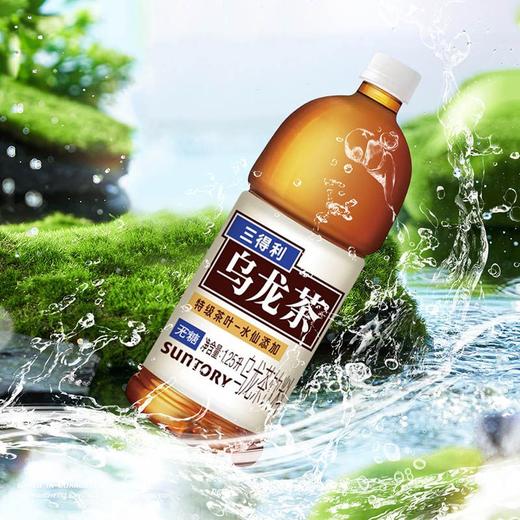 三得利无糖乌龙茶饮料 1.25L 商品图2
