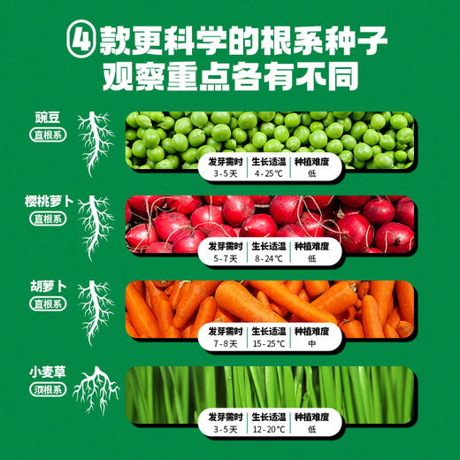 📣科答鸭种植观察作业必备❗种植福利团🏆😘超好养活的【小盆栽＋配大花盆🌱】从小种到大 💰43元起就能得到的快乐🎉有种子有土有盆🌟带孩子开启植物自然课💨在家就能感受生命教育🥇 商品图5