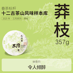 【三月系列】元昌号2025年莽枝357克生饼