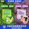 「下单赠羽衣甘蓝十黑粉7条*2袋」农科院研发品种 徐姬羽衣甘蓝粉 高膳食纤维/花青素 （绿色10条*2盒+紫色10条*2盒） 商品缩略图3