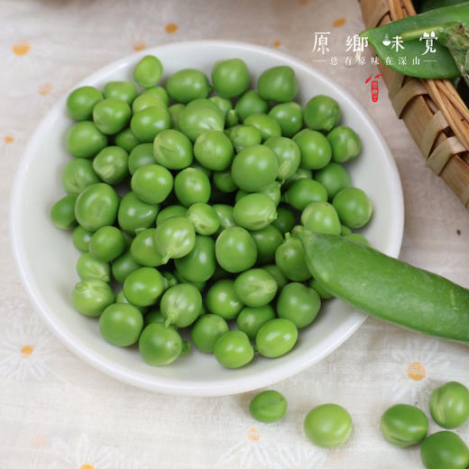 云南有机带皮豌豆（基地直发-顺丰包邮）| 3斤/件，来自云南昆明，生产者：李建平【合作生产，公平贸易】 商品图4