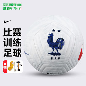 小李子NIKE耐克法国队足球5号球机缝比赛训练专用球IB9380-100