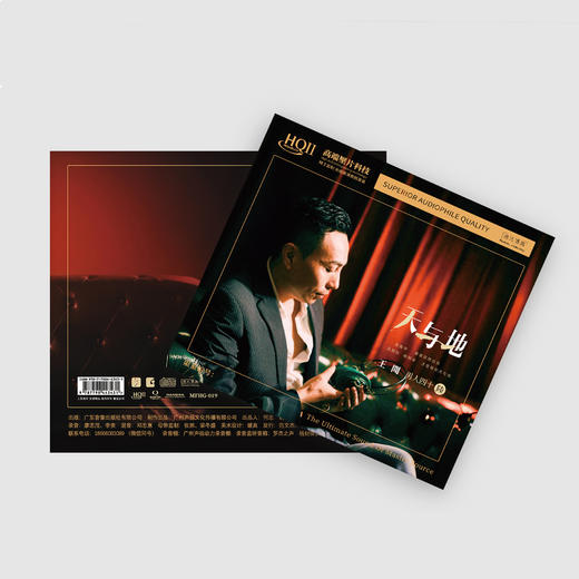 王闻 男人四十6《天与地》专辑HQⅡCD&1:1直刻&1:1黄金直刻 无比传真 商品图2