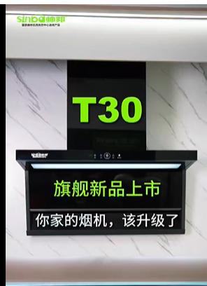 帅邦 油烟机 T30,  开孔40*48.5*30 商品图1