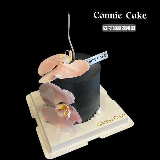 高贵蝴蝶兰 商品图0