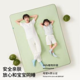 躺岛山野瓜自然机能凉席透气软床笠可折叠机洗夏冰丝席单双人家用