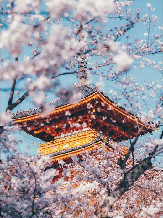 【品游日本】精彩本州/小众四国/濑户内海/全景深度八日游 商品图6