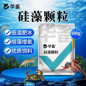 华畜硅藻颗粒增氧培藻鱼塘虾蟹池塘用水产养殖低温肥水藻种稳定剂