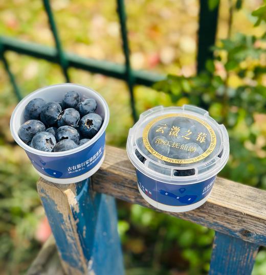 云澂之莓杯蓝莓|大颗粒，吃起来超级过瘾，粒粒脆甜，花香味儿浓郁，唇齿留香，闭眼入~ 商品图5