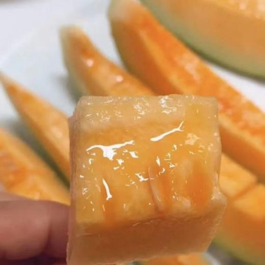 丞起网纹瓜 商品图2