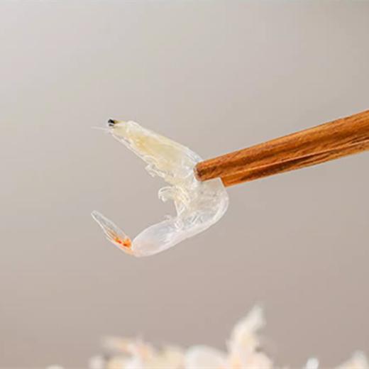 【新北方优选定制】现货 大连将军石虾皮100g/袋 商品图3