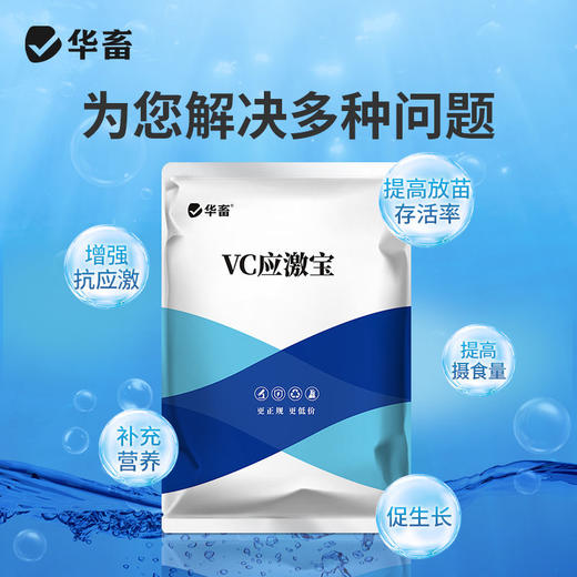 华畜vc应激灵鱼虾蟹抗应激水产养殖保苗助长维生素高稳多维应激宝 商品图3