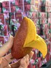 海南三亚 树上熟贵妃芒 商品缩略图12
