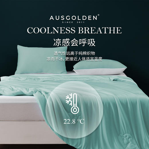 【A类母婴 防螨抑菌 整被可机洗】澳洲尼尔森双面凉感夏凉被 商品图1