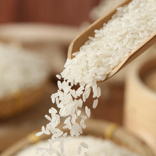 【MDL】麦臻选五常大米5kg 商品图4