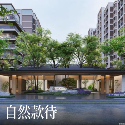 万科观山隐秀，济南万科2025年战略级作品155㎡-240㎡著作洋房 商品图2