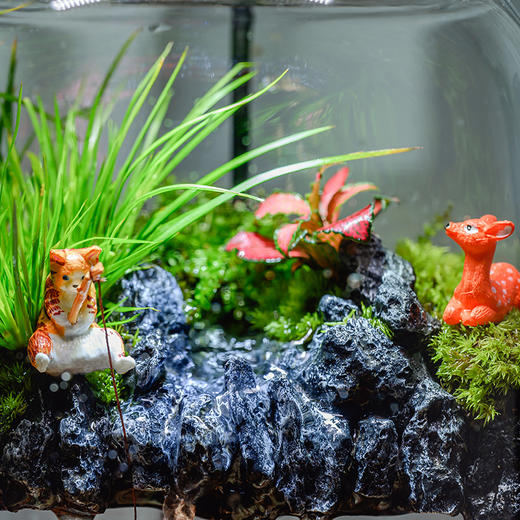 悬浮景观生态瓶，免打理易养活，植物小白也能轻松上手，纯手工造景，赋予极致的高级感，悬浮景观生态瓶 商品图2