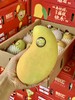 海南_金煌芒（8斤大果礼盒装） 商品缩略图2