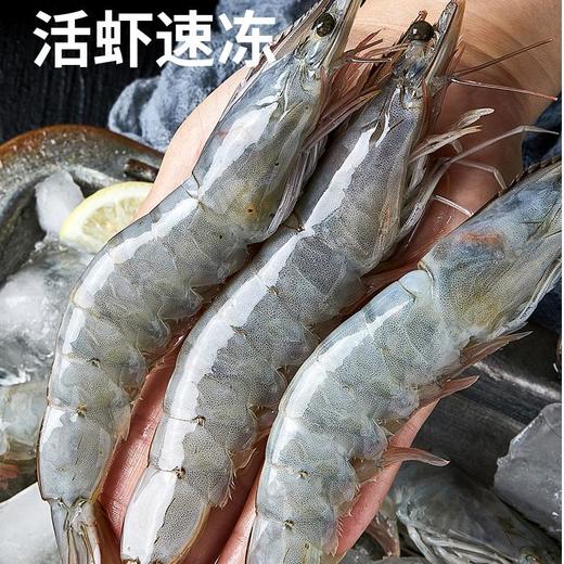 秘鲁盐冻大虾 | 源自南美厄瓜多尔南面 新鲜捕捞 活虾速冻 肉质饱满紧实 虾肉鲜嫩 鲜虾盐冻 只只分离 拒绝反复冷冻 商品图8