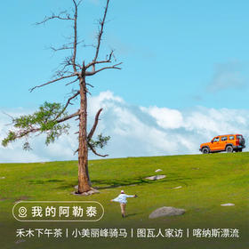 【新疆】我的阿勒泰6日