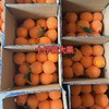 【清明放假7号发货】湖北秭归伦晚橙  当季橙 现摘现发 果肉细腻  甜润多汁 商品缩略图7