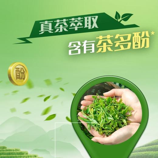 统一绿茶 2L 商品图2