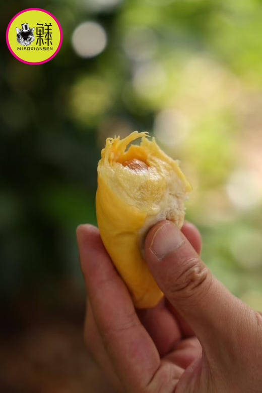 ✈️树熟空运【焦糖味榴莲】马来西亚🇲🇾D101奶油榴莲 鲜果❗4.5斤 商品图2